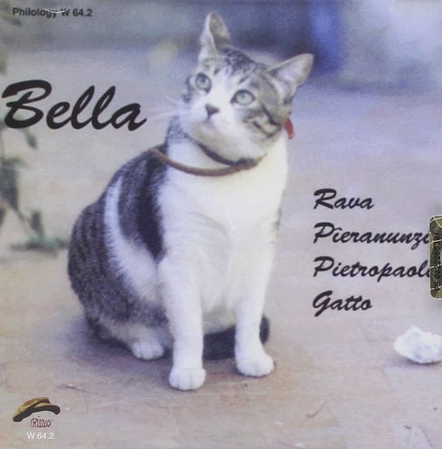 Album cover art for Bella