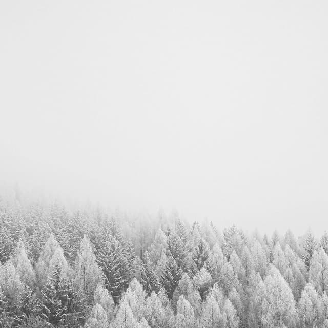 Album cover art for Été Froid