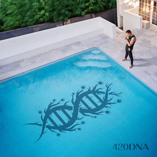 Album cover art for 420DNA