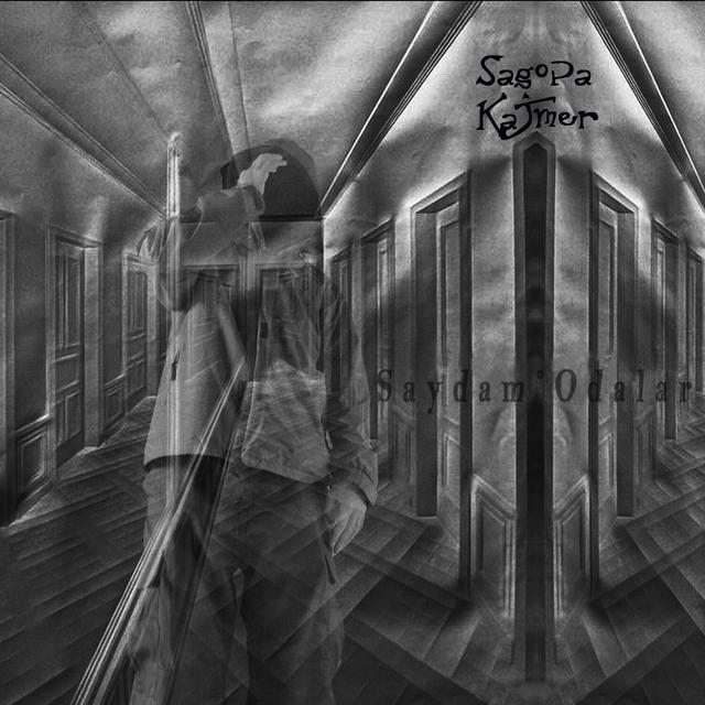 Album cover art for Saydam Odalar