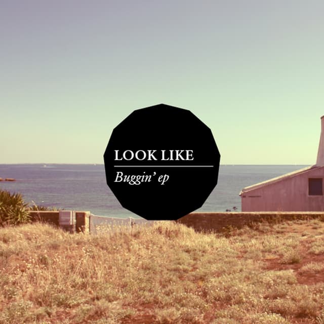 Album cover art for Look Like Buggin