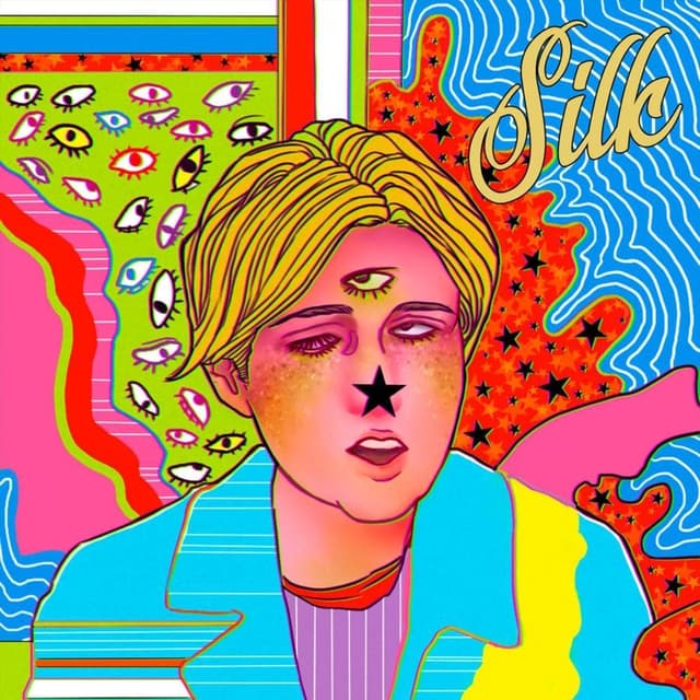 Album cover art for Silk
