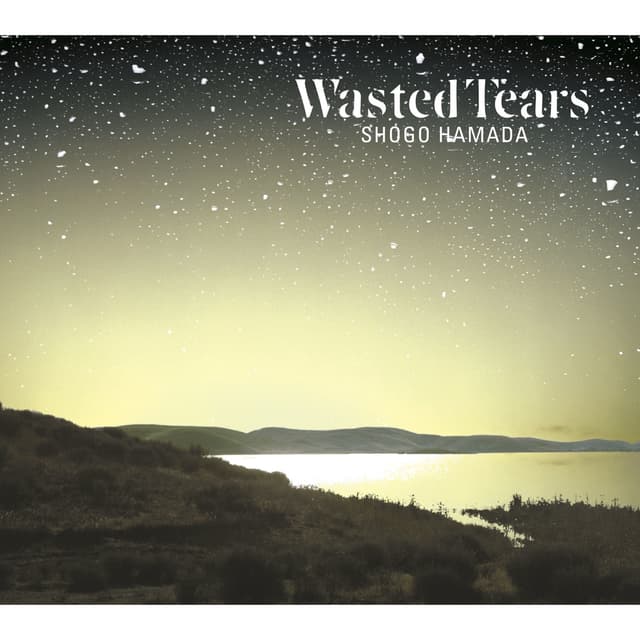 Album cover art for WASTED TEARS