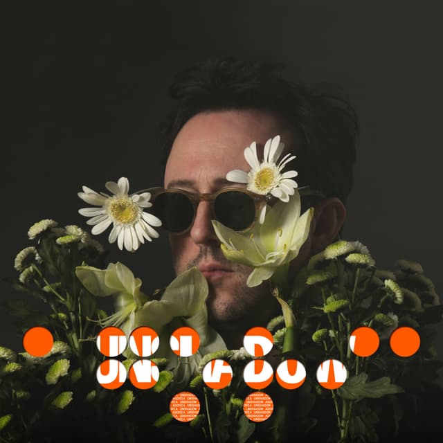 Album cover art for Unshadow