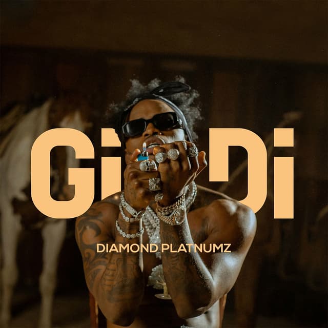 Album cover art for Gidi