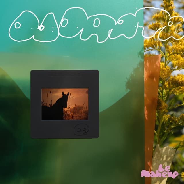 Album cover art for Odorata