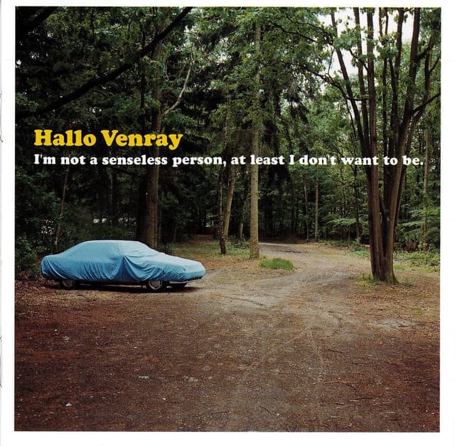 Album cover art for I'm Not A Senseless Person, At Least I Don't Want To Be.