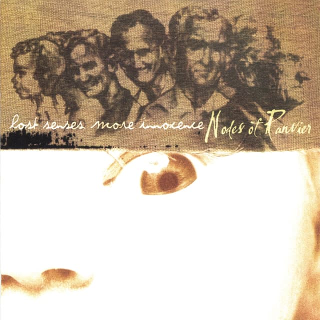 Album cover art for Lost Senses, More Innocence