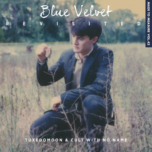 Album cover art for Blue Velvet Revisited