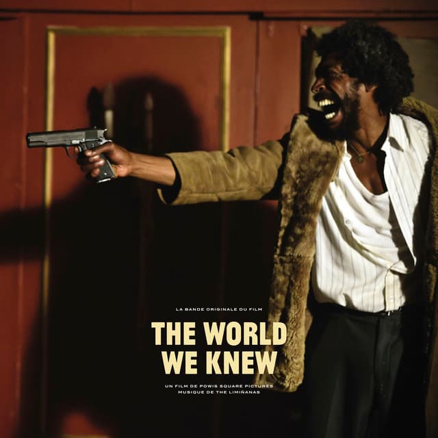 Album cover art for The World We Knew