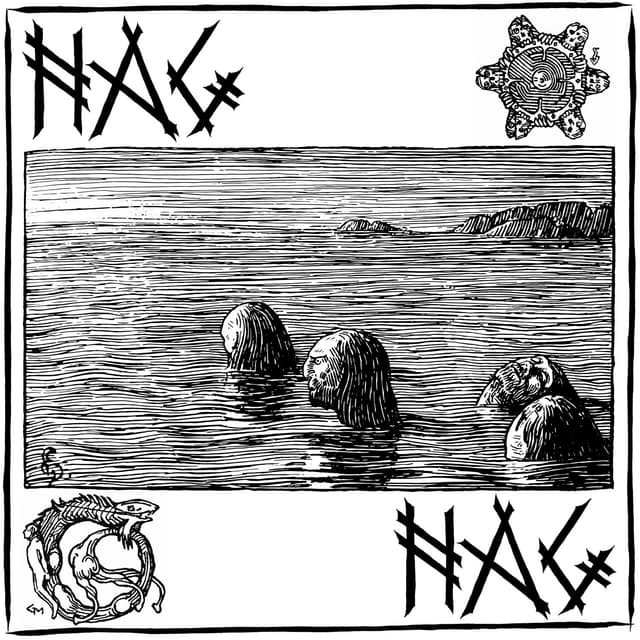 Album cover art for Nag