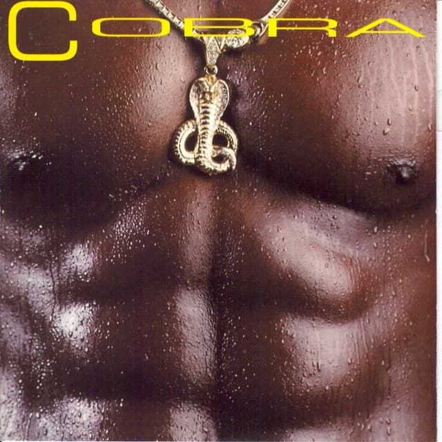 Album cover art for Cobra