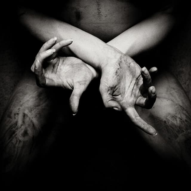 Album cover art for X - Varg Utan Flock