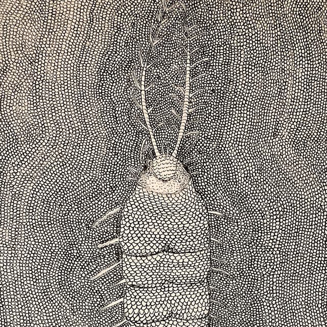 Album cover art for Qualia / Micrografía