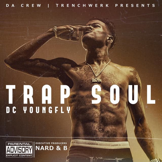 Album cover art for Trap Soul