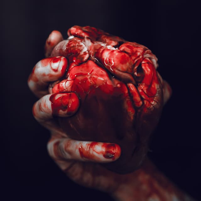 Album cover art for We Owe You Nothing