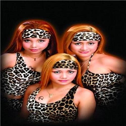 Album cover art for Trio Macan