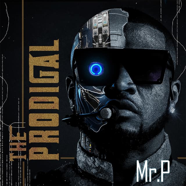 Album cover art for The Prodigal