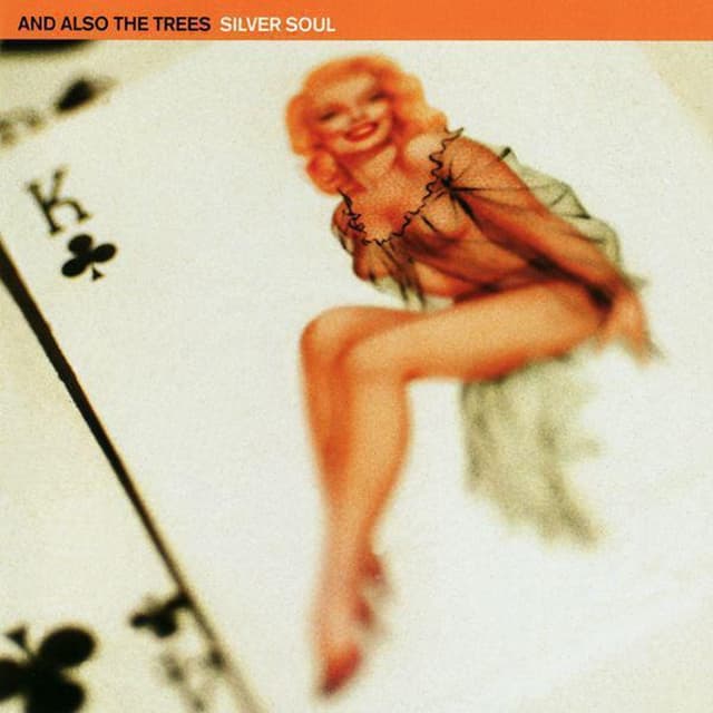 Album cover art for Silver Soul