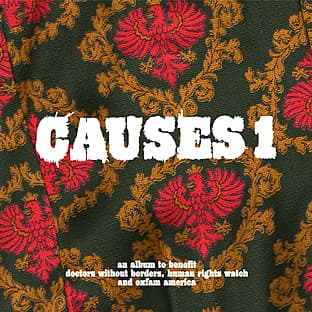 Album cover art for Causes 1