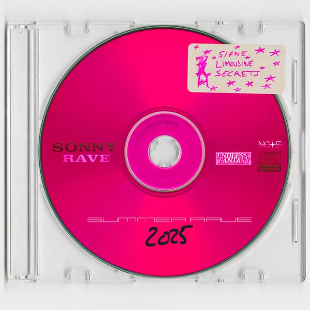 Album cover art for SUMMER RAVE 2025