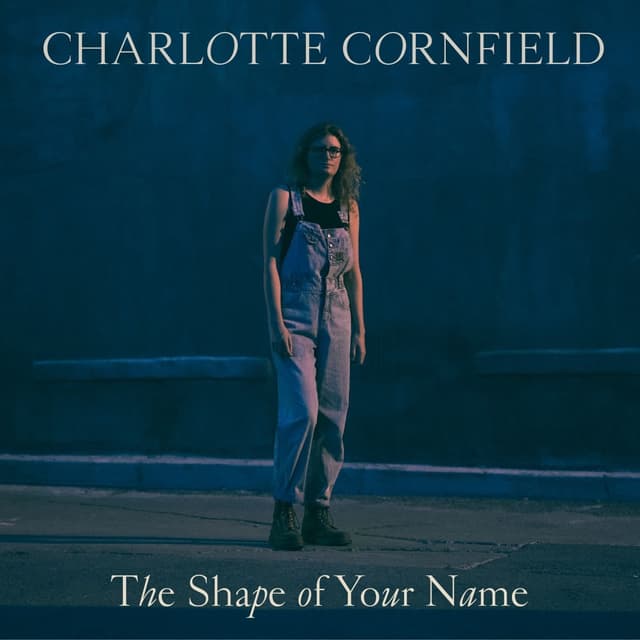 Album cover art for The Shape of Your Name
