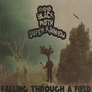Album cover art for Falling Through a Field
