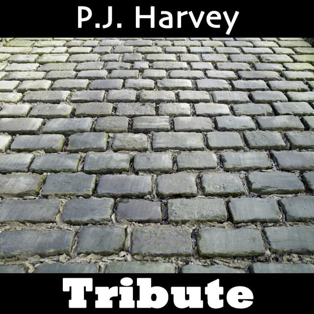 Album cover art for Dress: Tribute To P. J Harvey