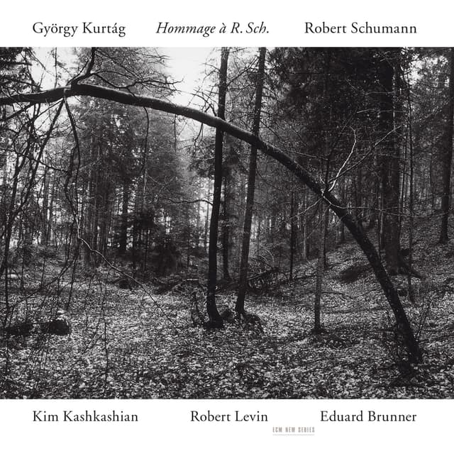 Album cover art for Kurtág: Hommage à R. Sch.