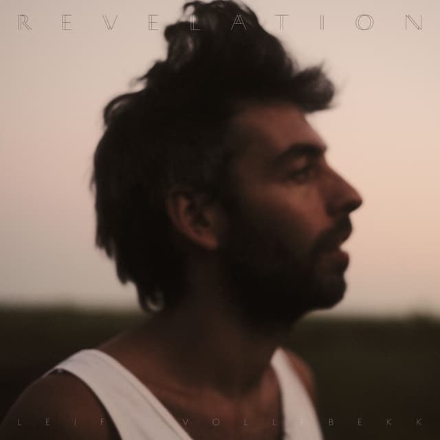 Album cover art for Revelation