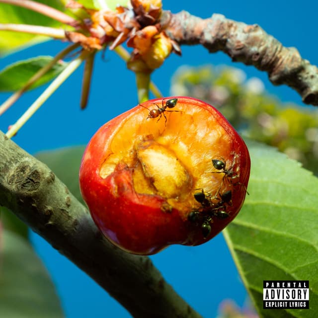 Album cover art for DISCORDIA, ARMONIA E ALTRI STATI D'ANIMO