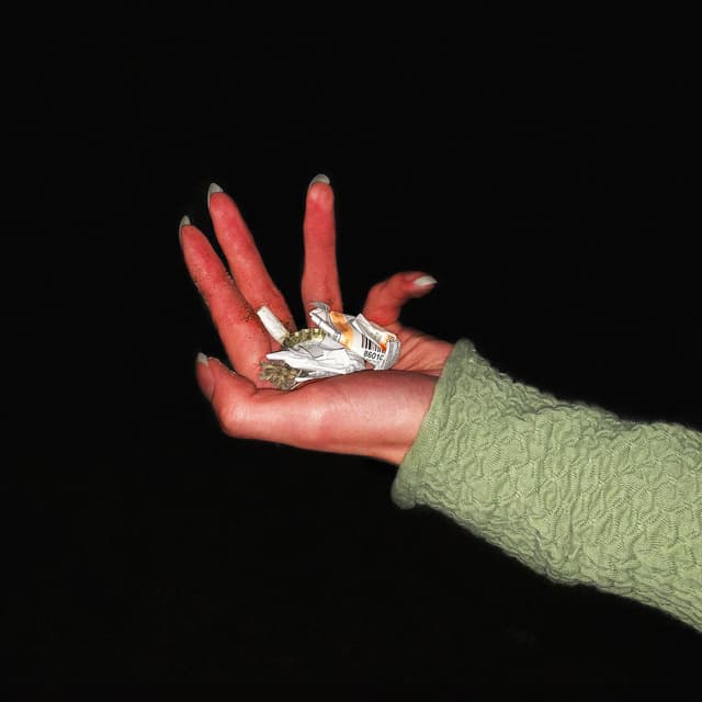 Album cover art for im hole