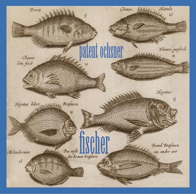 Album cover art for Fischer