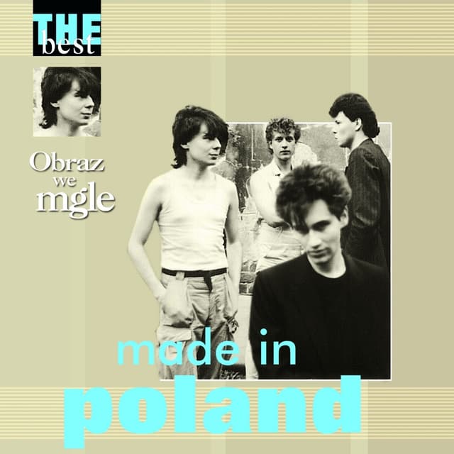 Album cover art for The Best: Obraz we mgle