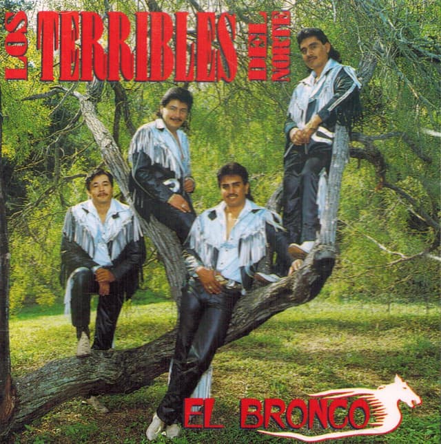 Album cover art for El Bronco