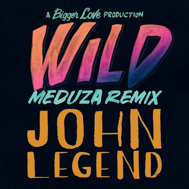 Album cover art for Wild
