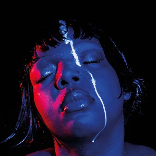 Album cover art for hooke’s law