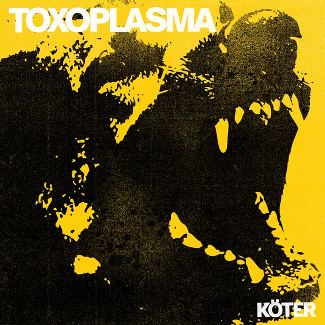 Album cover art for Köter