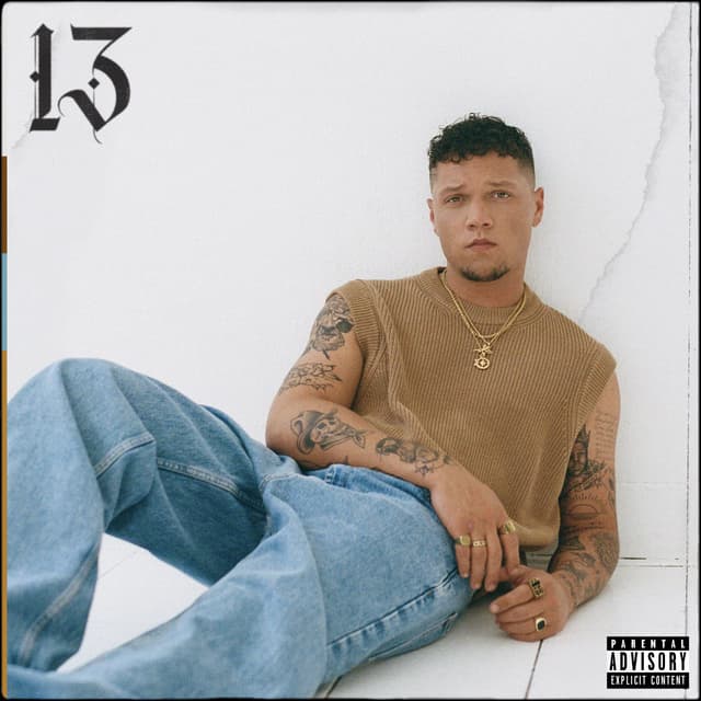 Album cover art for 13