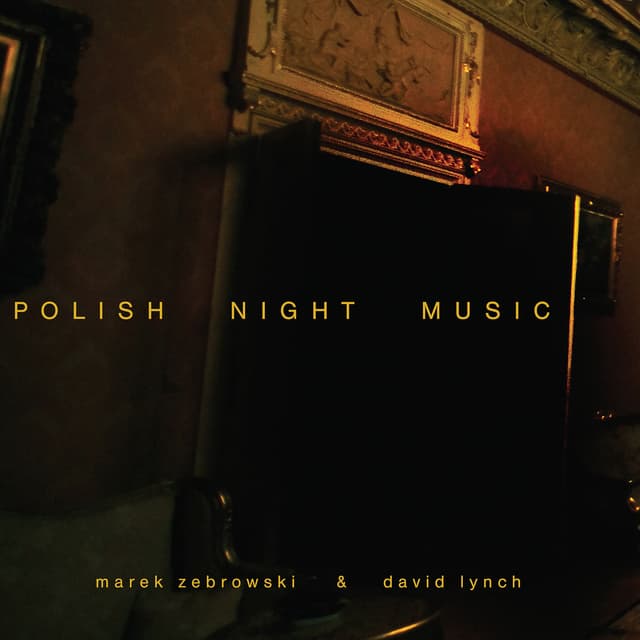 Album cover art for Polish Night Music