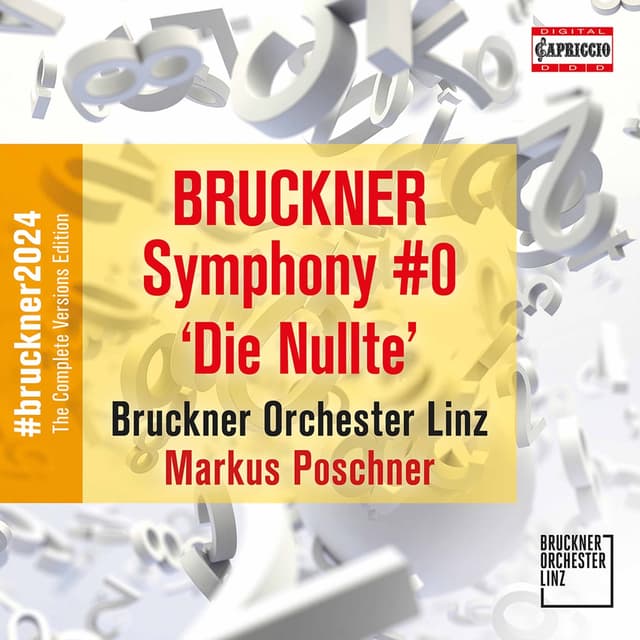 Album cover art for Symphony #0 "Die Nullte"