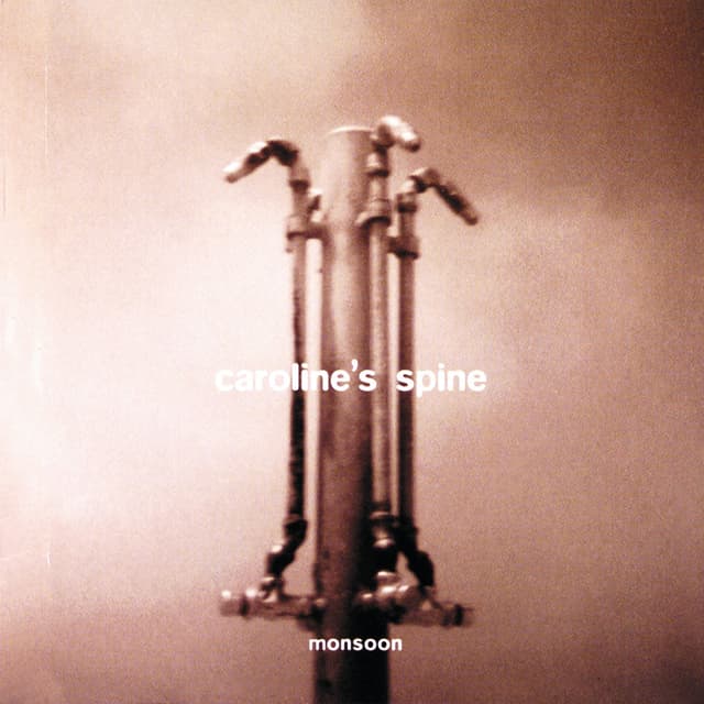 Album cover art for Monsoon