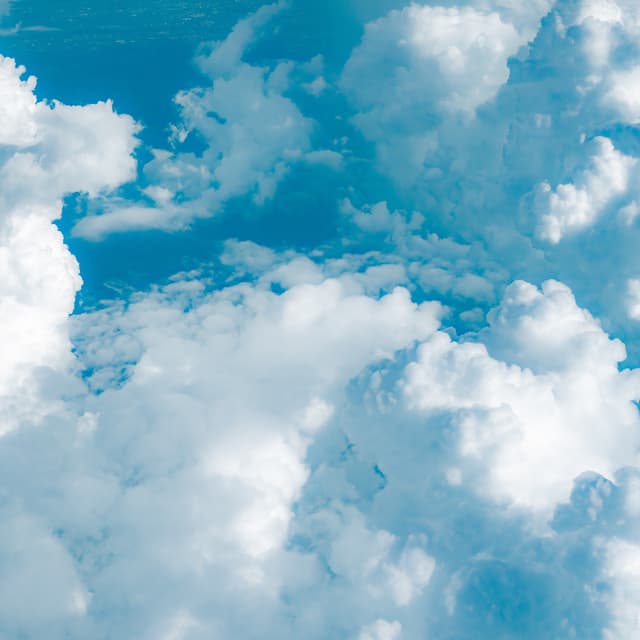 Album cover art for 微熱のリリック