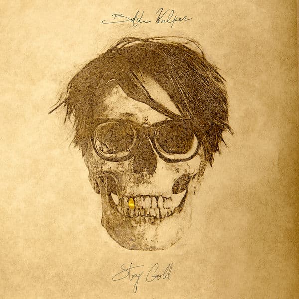 Album cover art for Stay Gold