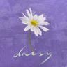 데이지 Daisy (Daisy)