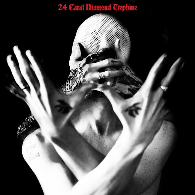 Album cover art for 24 Carat Diamond Trephine
