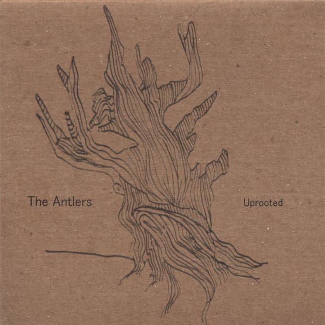 Album cover art for Uprooted