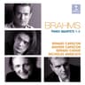 Brahms: Piano Quartet No. 1 in G Minor, Op. 25: IV. Rondo all Zingarese. Presto