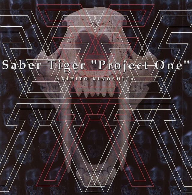 Album cover art for Project One