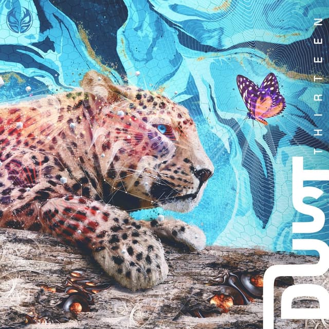 Album cover art for Thirteen